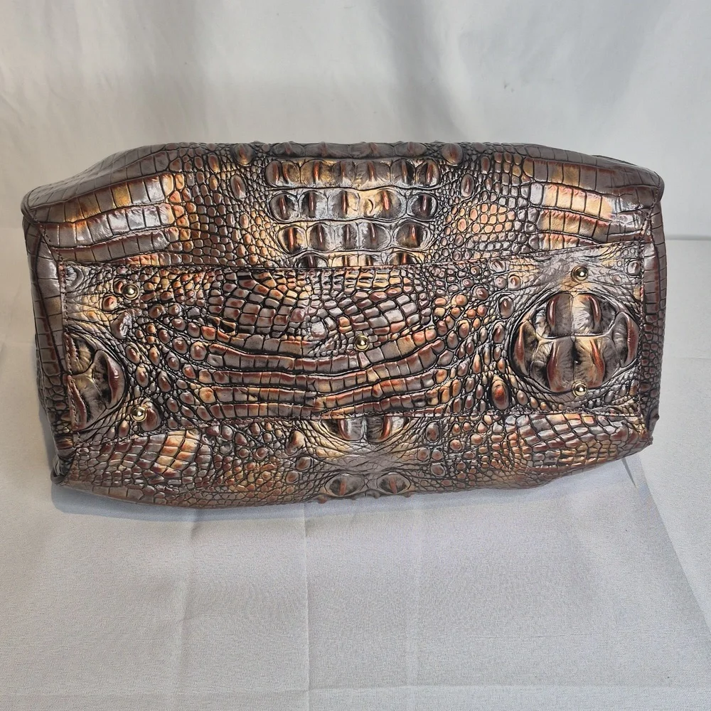 Brahmin nwot faye